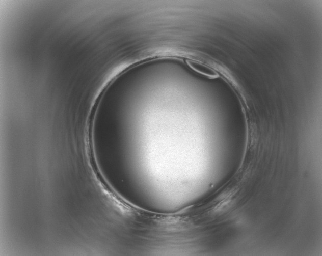 X0000062671048200512211330