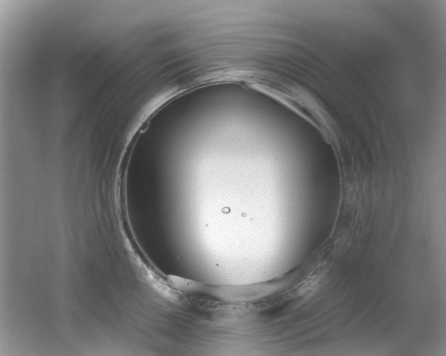 X0000062671050200512211330