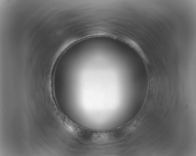 X0000062671051200512211330