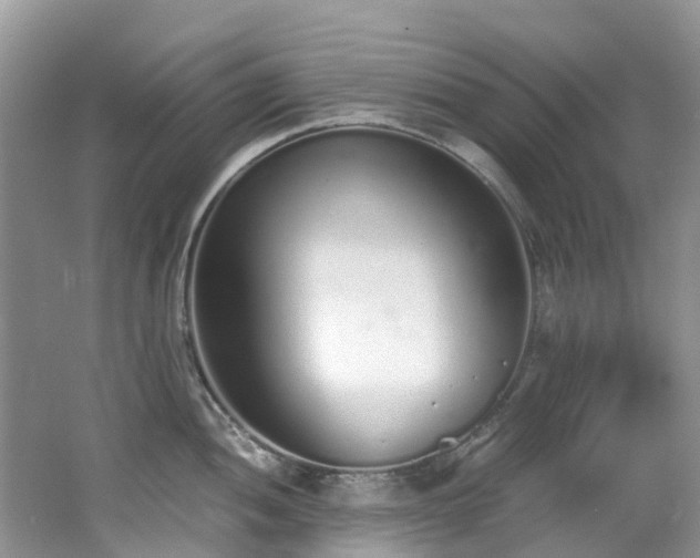 X0000062671052200512211330