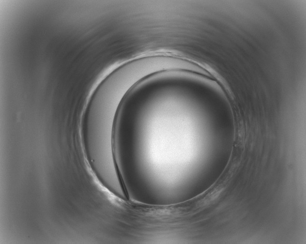 X0000062671054200512211330