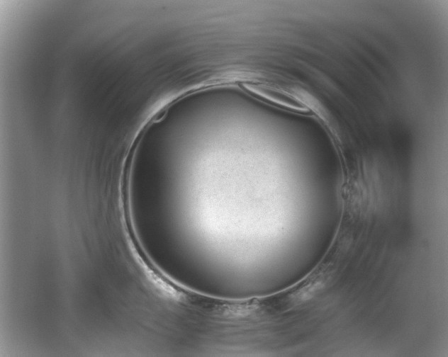 X0000062671055200512211330