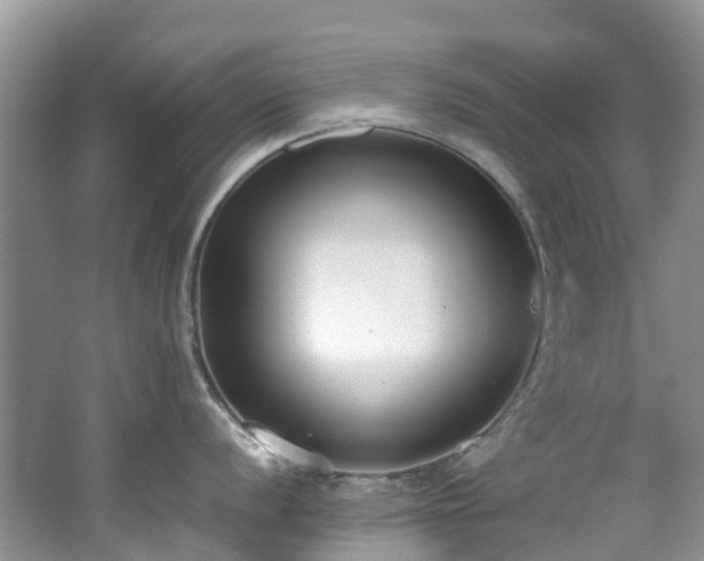 X0000062671056200512211330