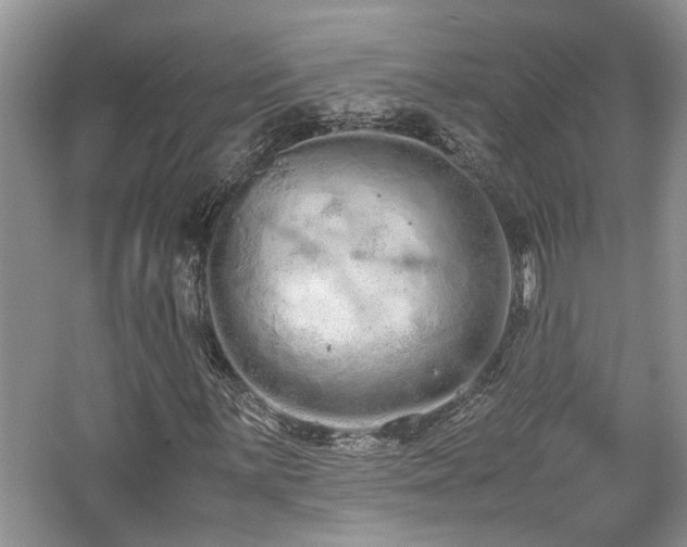 X0000062671059200512211329