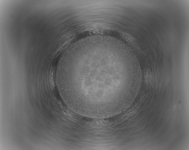 X0000062671060200512211329