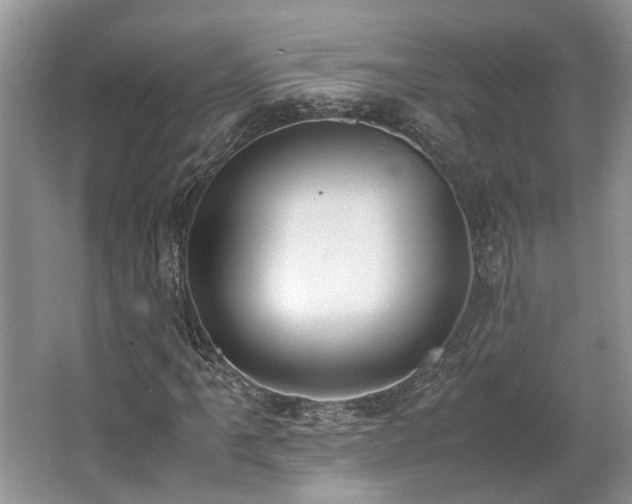 X0000062671061200512211329