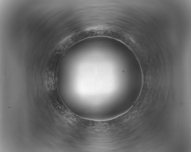 X0000062671062200512211329