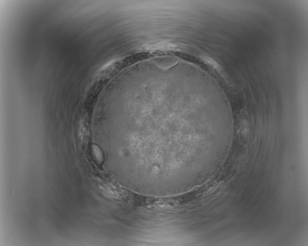 X0000062671063200512211329