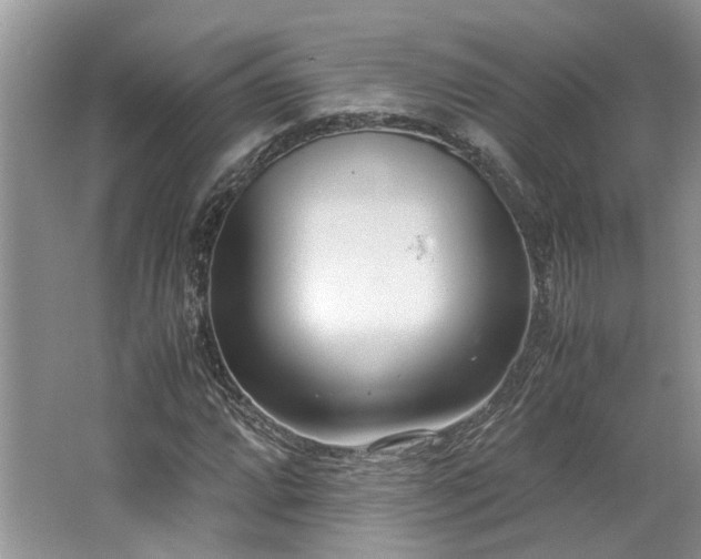 X0000062671064200512211329