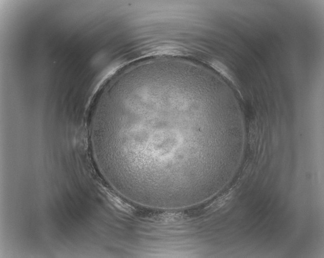 X0000062671067200512211329