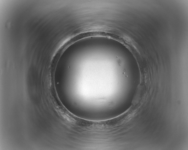 X0000062671069200512211329