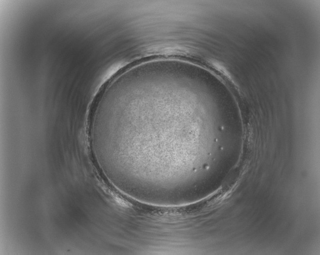 X0000062671071200512211329