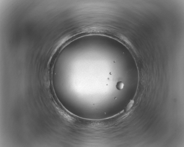 X0000062671075200512211329