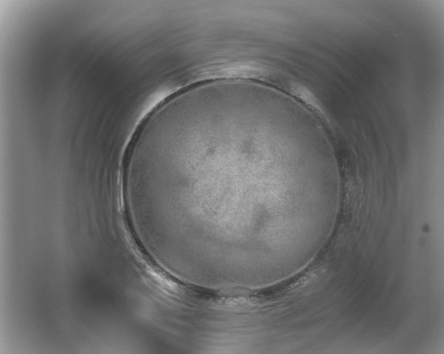 X0000062671079200512211329