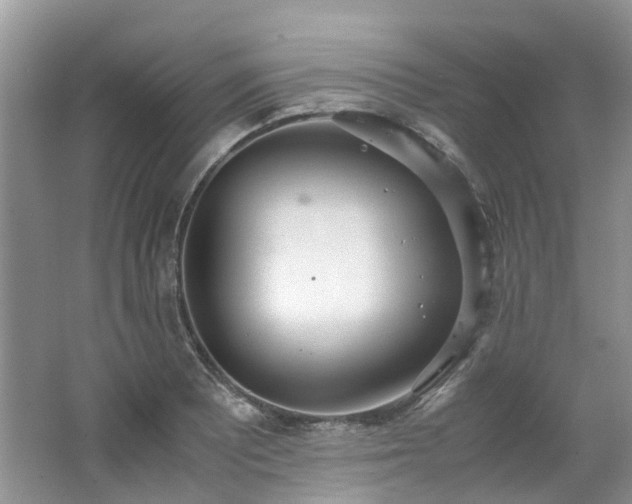 X0000062671081200512211329