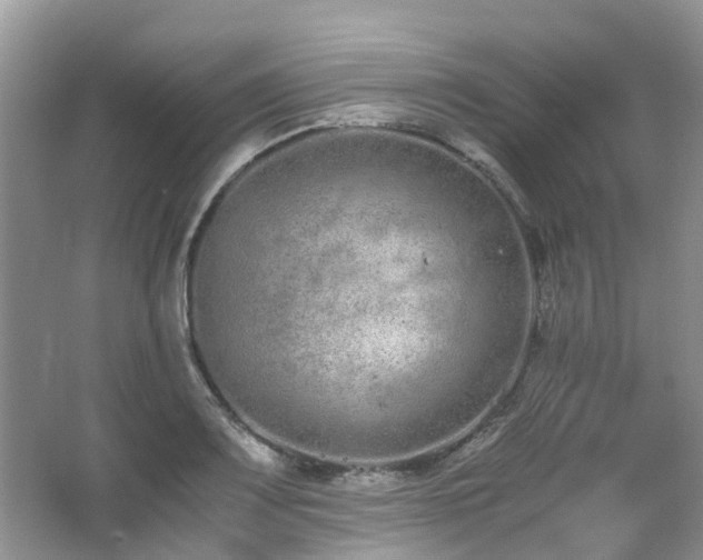 X0000062671083200512211328