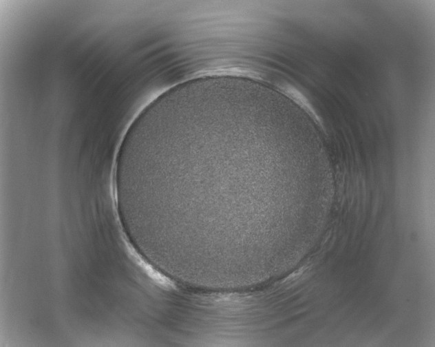 X0000062671084200512211328