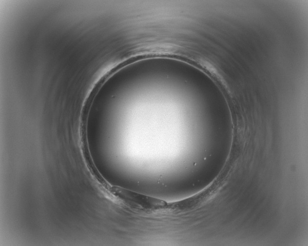 X0000062671085200512211328