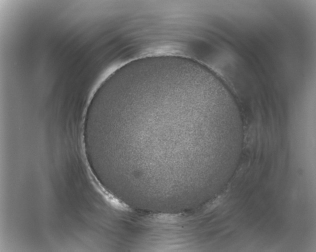 X0000062671086200512211328