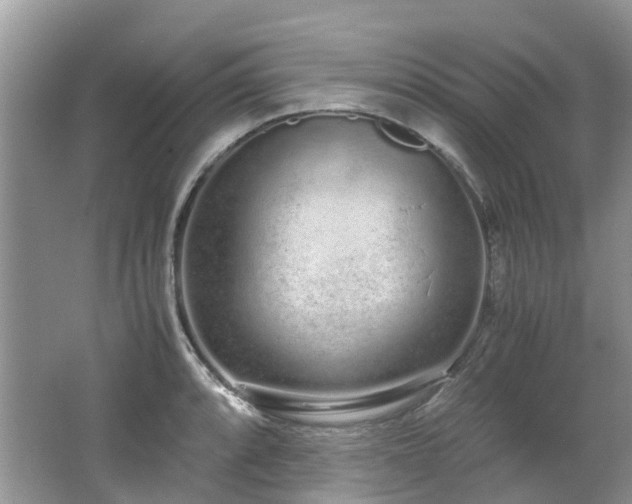 X0000062671088200512211328