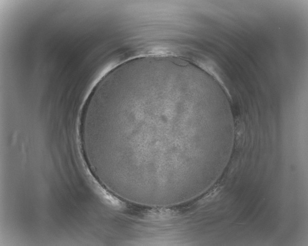 X0000062671091200512211328