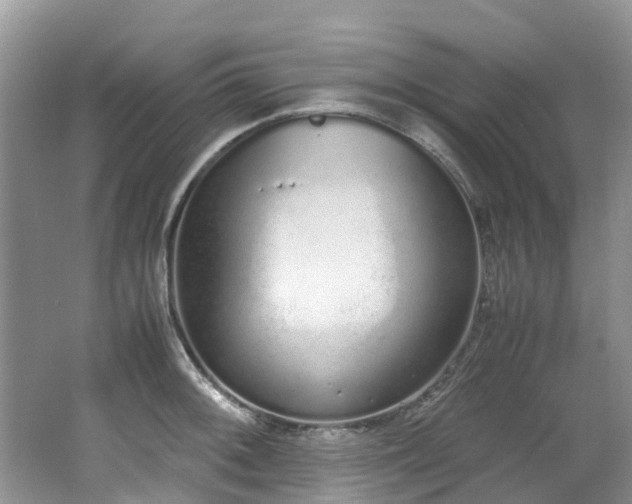 X0000062671092200512211328