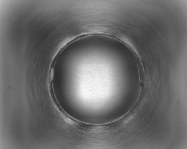 X0000062671093200512211328