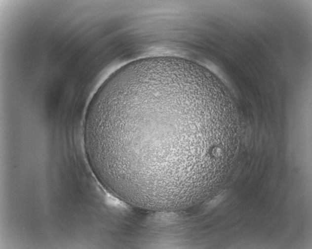 X0000062671094200512211328