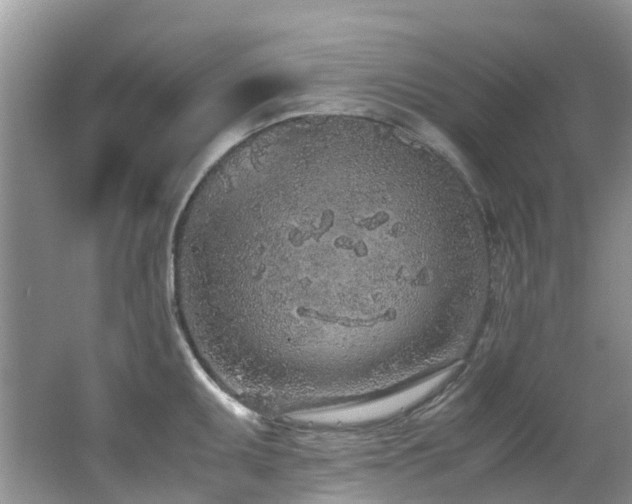 X0000062671095200512211328