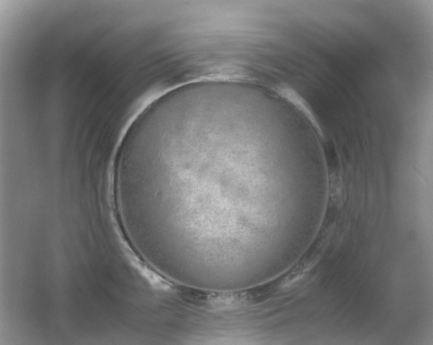 X0000062671099200512211328