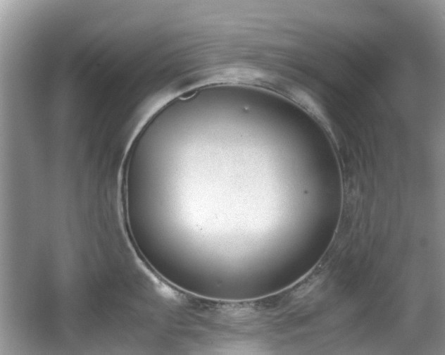 X0000062671103200512211328