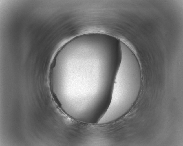 X0000062671104200512211328