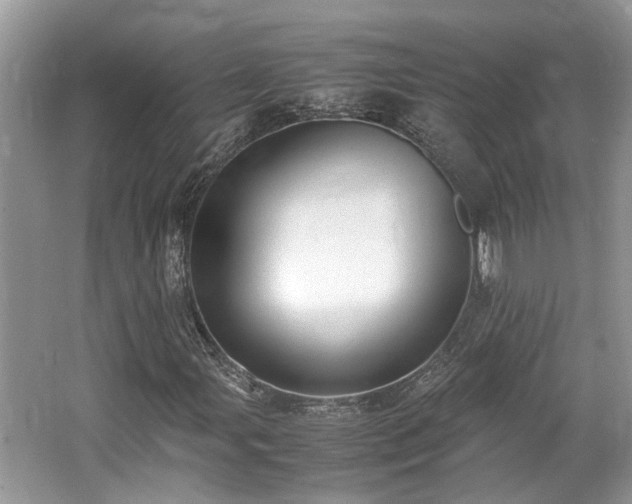 X0000062671107200512211327