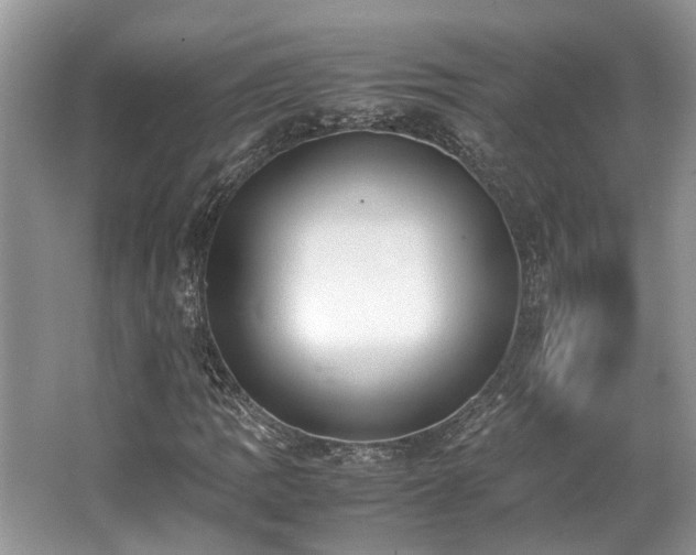 X0000062671109200512211327