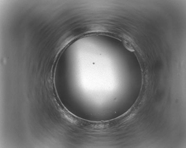 X0000062671129200512211328