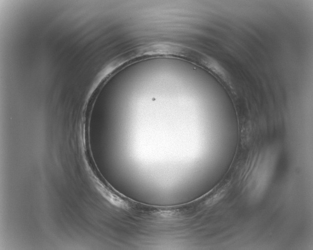 X0000062671130200512211328