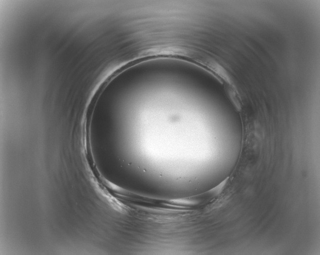 X0000062671132200512211328