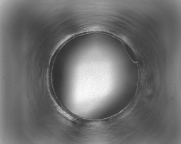 X0000062671134200512211328