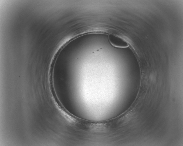 X0000062671135200512211328