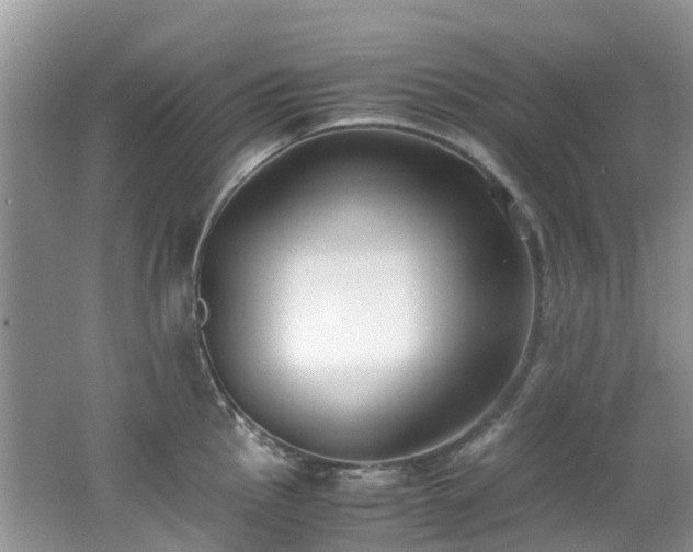 X0000062671145200512211328