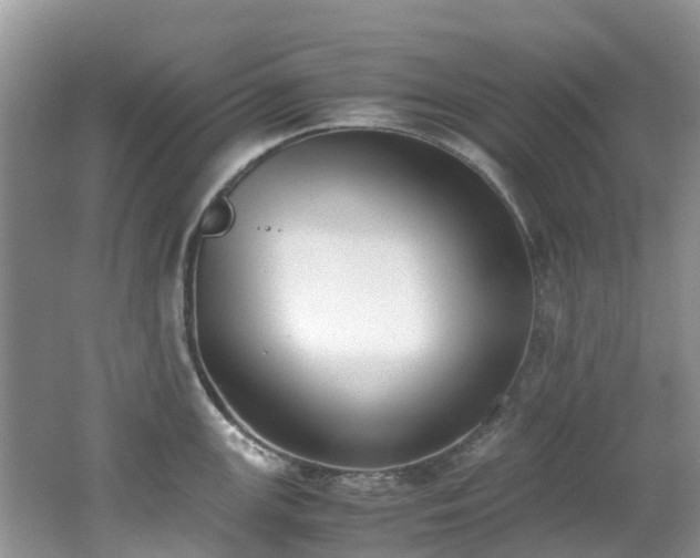 X0000062671147200512211328