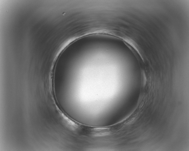 X0000062671151200512211328