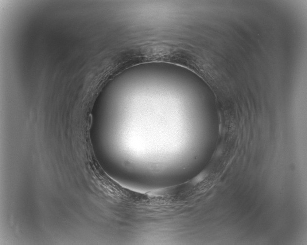 X0000062671153200512211327