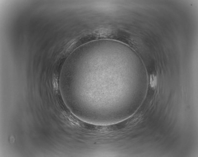 X0000062671155200512211327