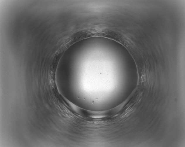 X0000062671156200512211327