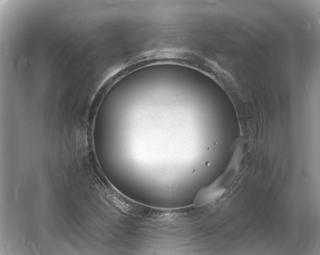 X0000062671166200512211327