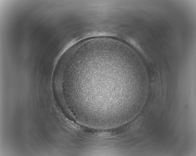 X0000062671173200512211327