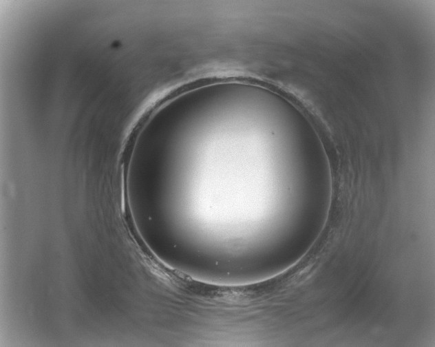 X0000062671175200512211327