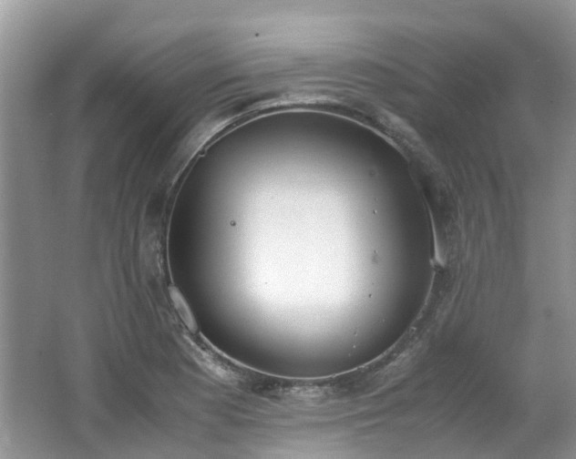 X0000062671177200512211327