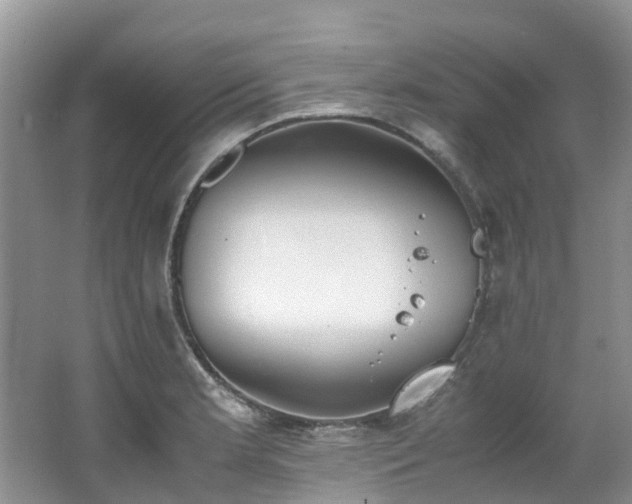 X0000062671181200512211327